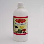 Spirilla Nitrogen Fixing Bacteria (Azosporillum) Liquid Bio Fertilizers (100ml-1Ltr)